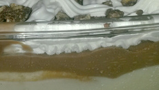 Pavê de creme com chocolate