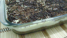 Pavê dois brigadeiros