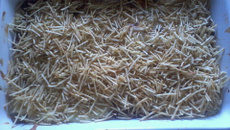 Escondidinho de carne moída