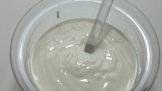 Falso iogurte para dieta da proteína