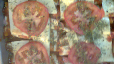 Canelone mais barato