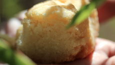 Pão murcho de arroz (sem glúten)