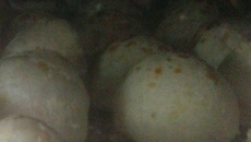 Pão de queijo mineiro