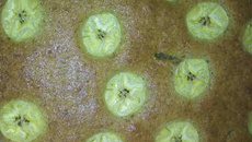 Bolo simples de banana de terra