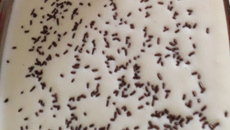 Pavê de café da Ana