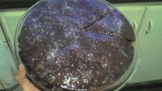 Bolo econômico de chocolate