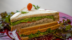 Sanduíche natural de atum