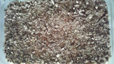 Pavê de leite condensado