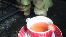 Chá de morango