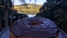 Bolo de laranja de umbigo com casca da Li