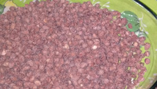 Cri-cri facílimo de amendoim