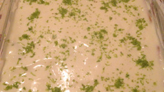 Torta/mousse de limão