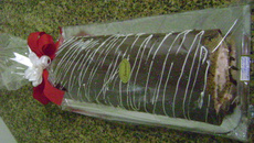 Rocambole sensação