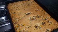 Torta salgada de proteína de soja da Liselle