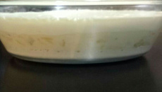  Mousse de abacaxi com creme diet 