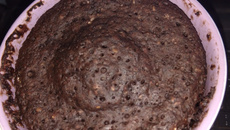 Bolo de caneca vegetariano