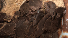 Sorvete de whey de chocolate