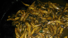 Shimeji na manteiga fantástico