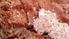 Quibe assado recheado