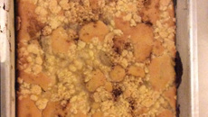 Cuca de banana alemã