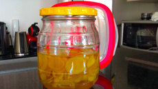 Gari - conserva japonesa de Gengibre