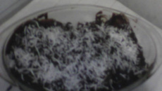 Panqueca doce recheada com beijinho cobertura de chocolate