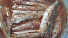 Cavalinha ao molho de tomate