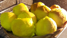 Pão de cenoura com aveia