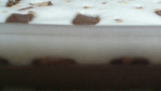 Pavê com pedaços de chocolate