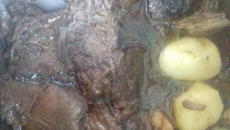 Carne assada na pressão com cerveja