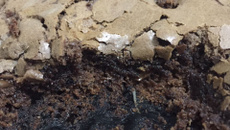 Bolo brownie de chocolate