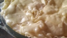 Lasanha de frango e presunto com molho branco