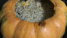 Carne-seca na moranga