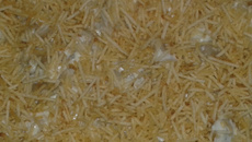 Capeletti ao molho de queijo