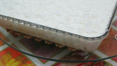 Pavê de côco especial