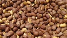 Amendoim Salgado de Micro-ondas