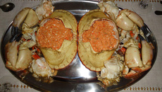 Sapateira - caranguejo