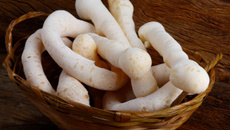 Biscoito de polvilho assado fácil