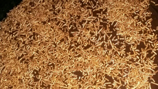 Bolo de chocolate da Kety