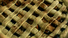 Torta de maçã da titia