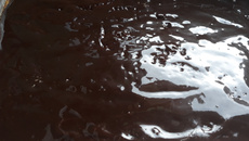 Calda de chocolate com leite integral