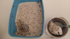 Sorvete de flocos fácil