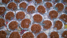 Brigadeiro de chocolate meio amargo