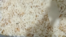 Fricassê de frango especial