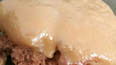 Doce de leite caseiro delicioso