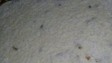 Torta de abacaxi perfeita e simples