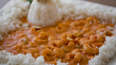 Estrogonofe de camarão