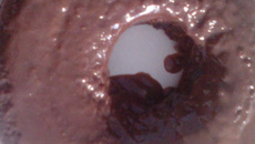 Bolo de chocolate de micro-ondas que sai com cobertura