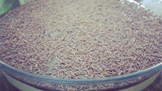 Torta de coco com creme de chocolate