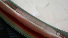 Gelatina cremosa 3 camadas